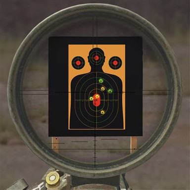 Tactical Target Paper