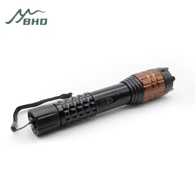 Torch Light